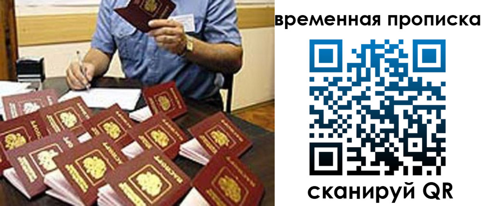 прописка для школы в Калаче-на-Дону